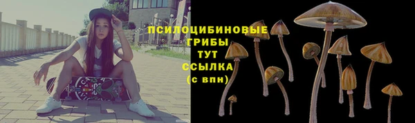 соль ск Алексин