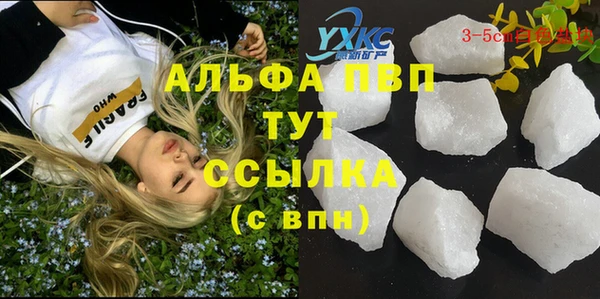 дмт Алзамай