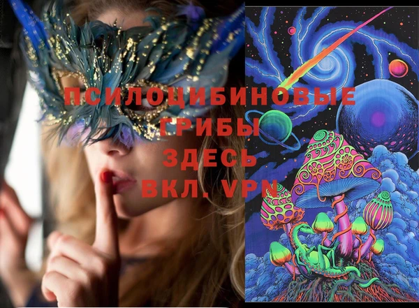 соль ск Алексин
