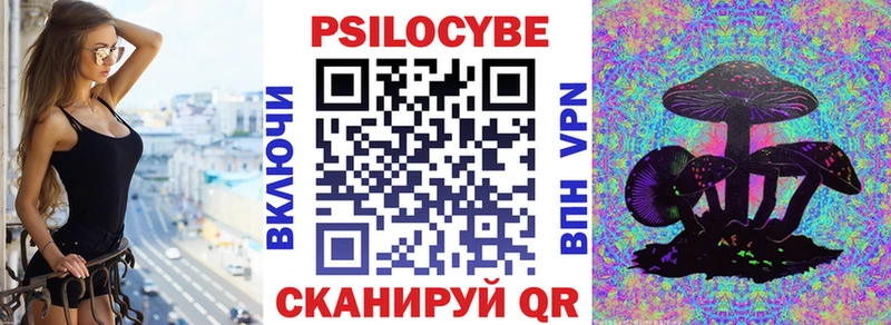 дарк нет состав Алексеевка Галлюциногенные грибы ЛСД дарнет шоп