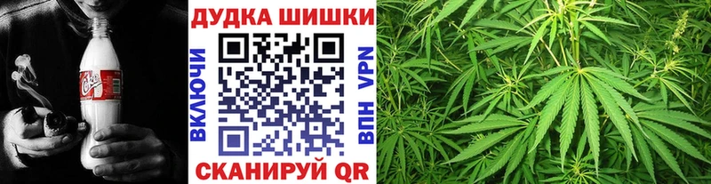 Каннабис гибрид гидра ссылка Алексеевка